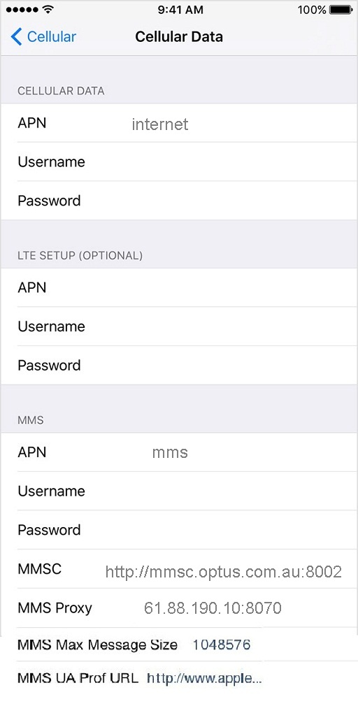 Amaysim APN Settings for iPhone