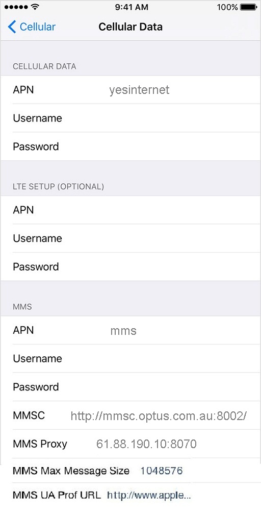 InterNode APN Settings for iPhone