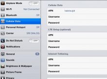 Telstra APN Settings for iPad Air Mini
