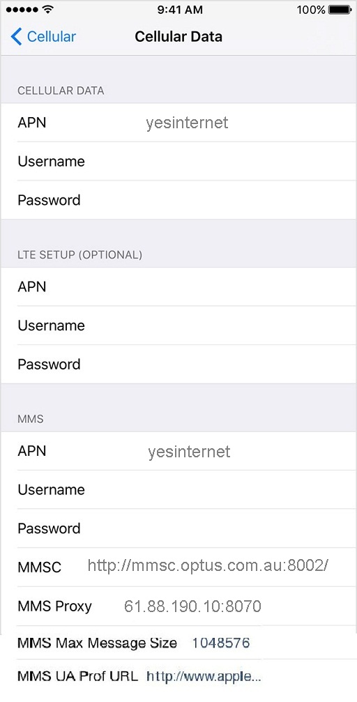 Exetel APN MMS Settings for iPhone