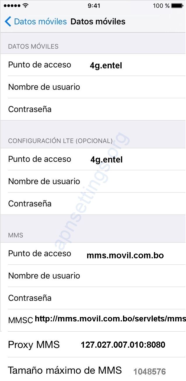 Configurar Internet Entel 4G Bolivia en iPhone