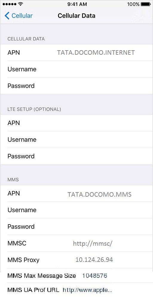 Tata Docomo Internet Settings for iPhone