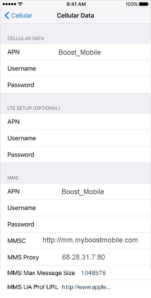 Boost Mobile APN Settings for iPhone