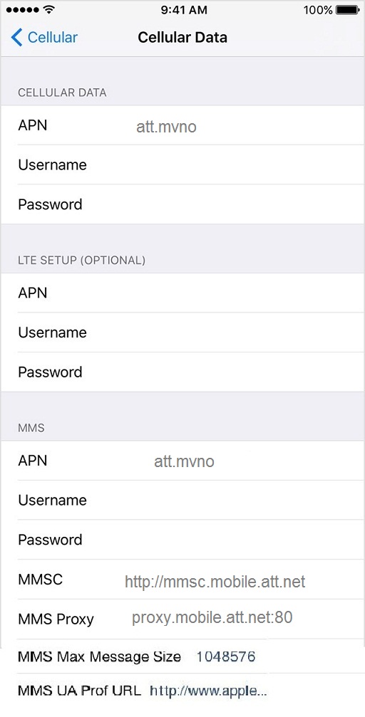 Black Wireless APN Settings for iPhone iPad