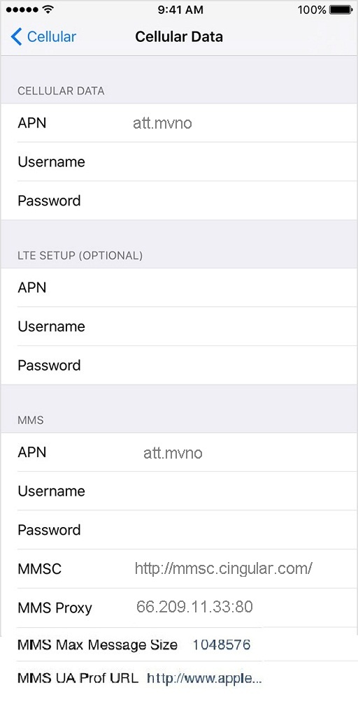 EasyGo APN Settings for iPhone