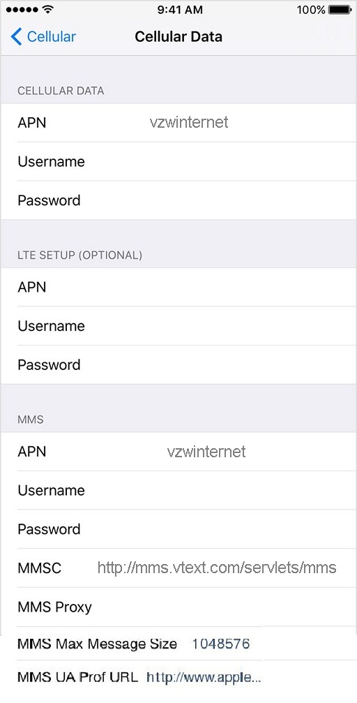 Page Plus APN Settings for iPhone