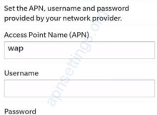 Etisalat Internet APN Settings for Blackberry