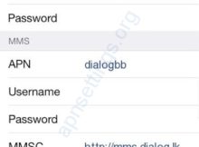 Dialog APN Settings for iPhone