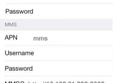 SMART LTE APN Settings for iPhone