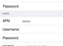 Vodacom Tanzania iPhone Internet Settings