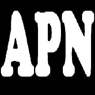 Breni Org logo
